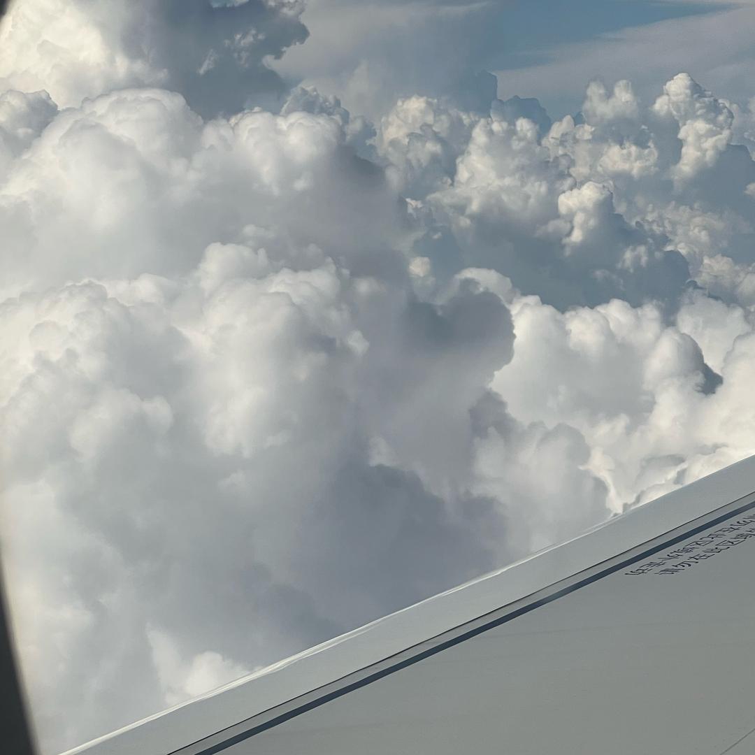 同世堂大药房（华龙嘉园门店）