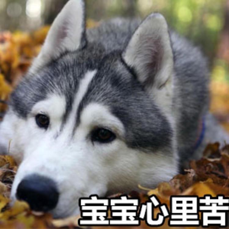 爱喝果汁🥤