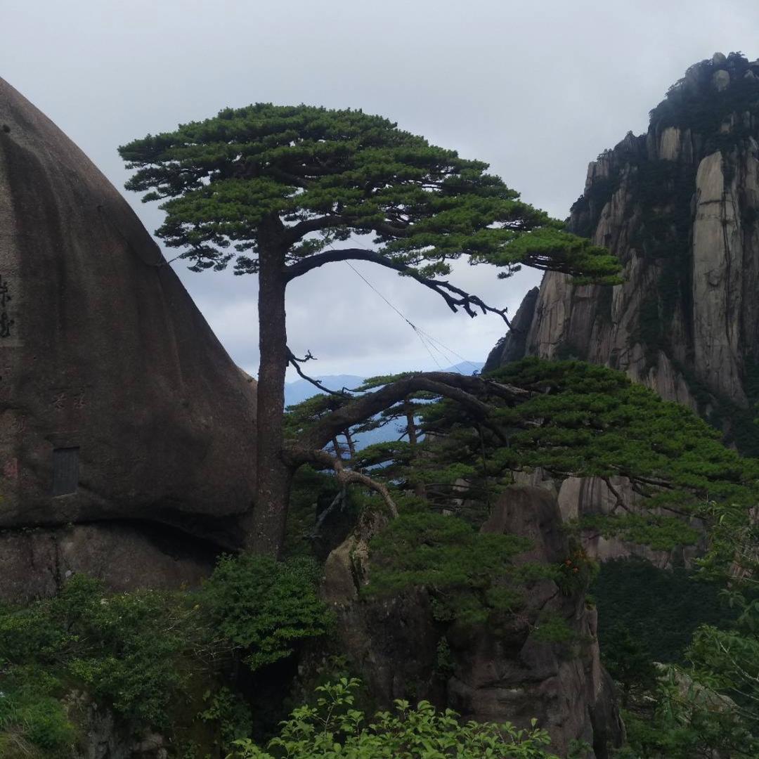 五岳之中