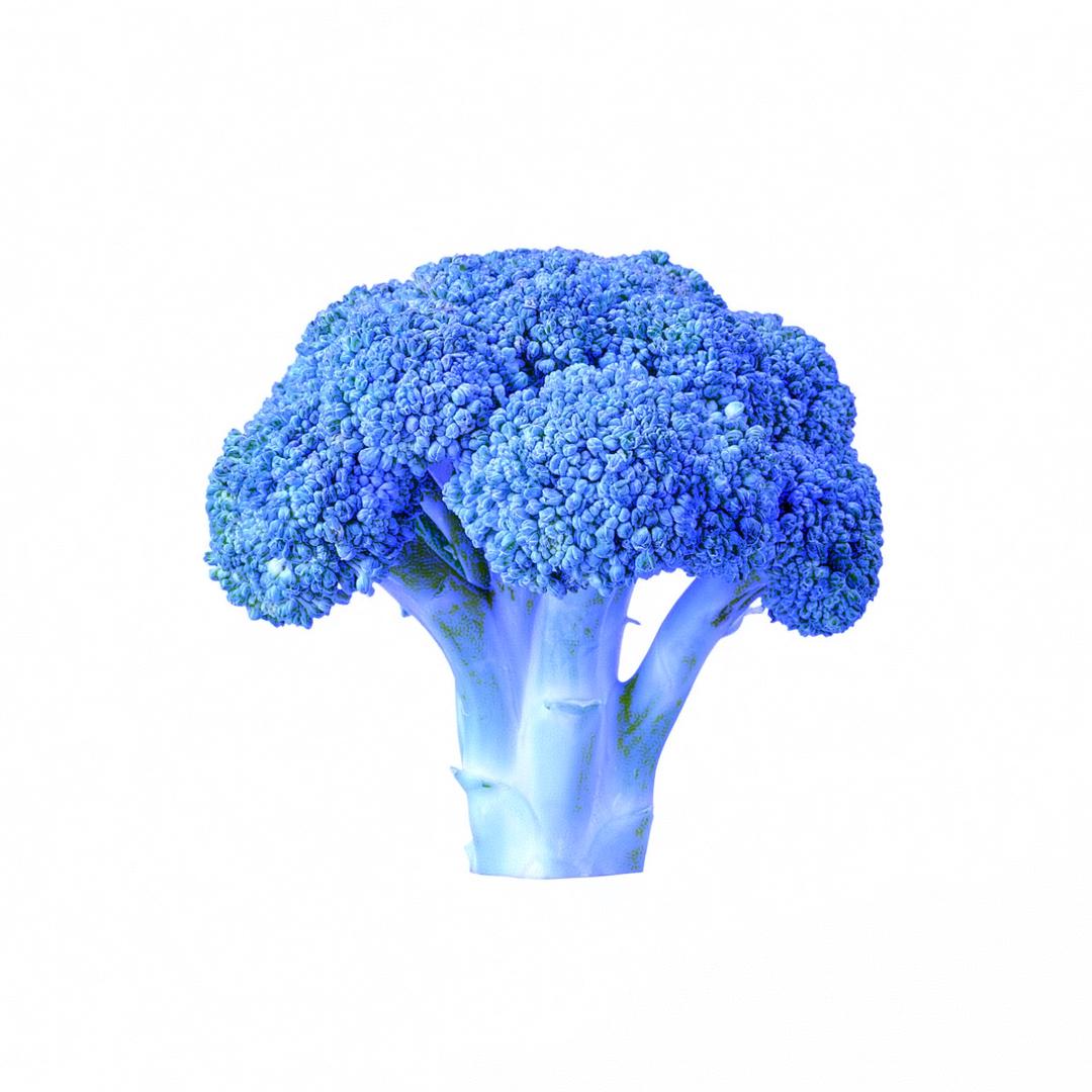 一颗西蓝花