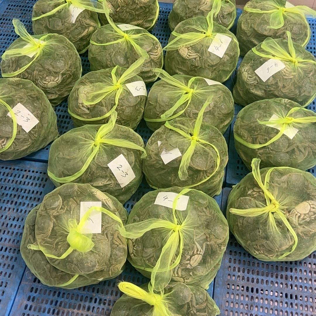 盘锦八千雪莲螃蟹