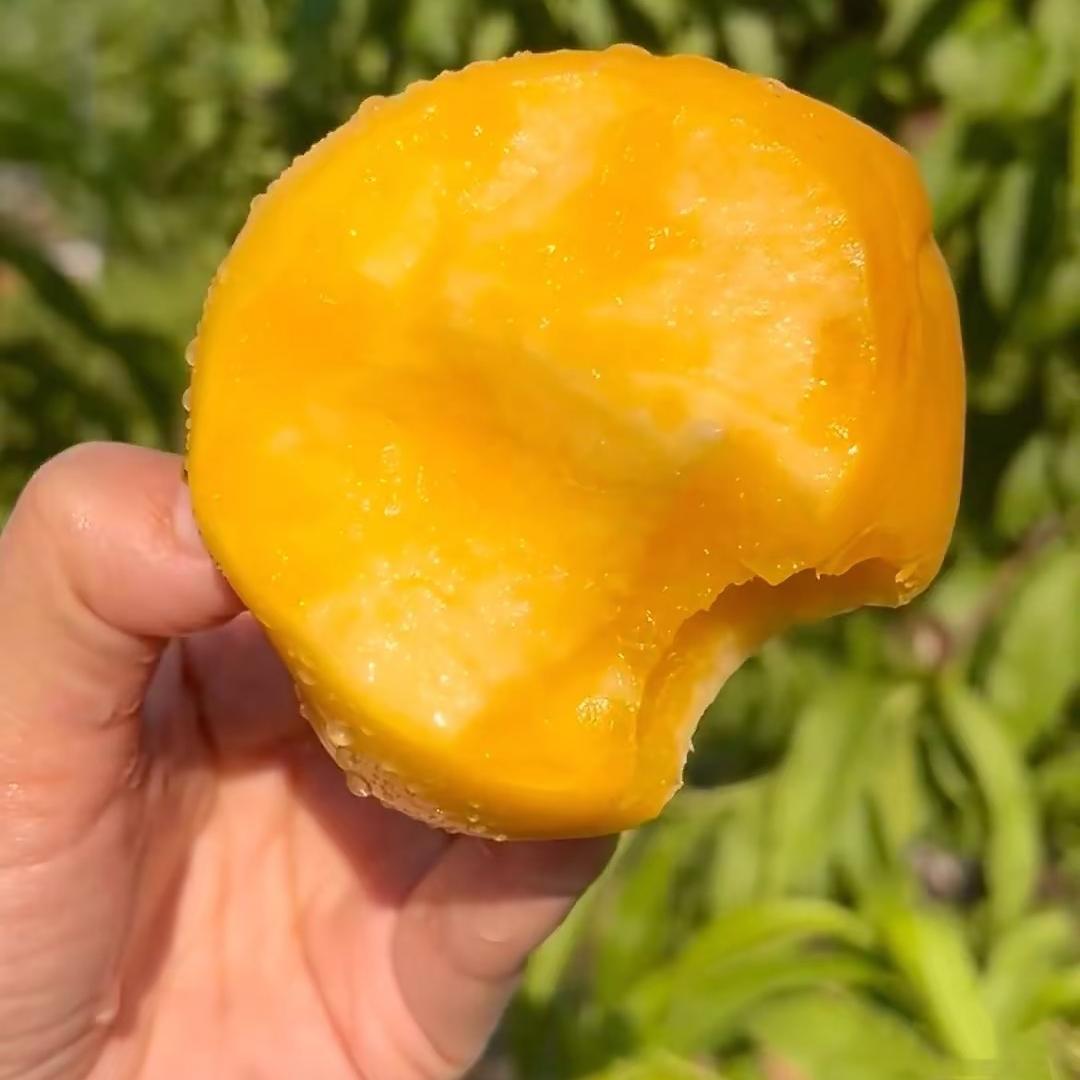 蒙阴黄金大油桃