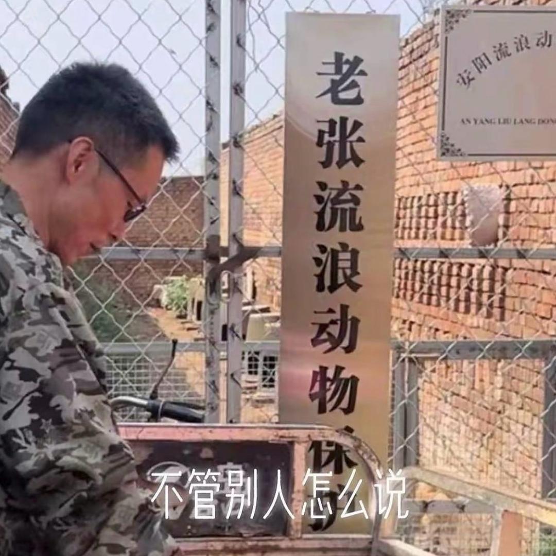 老张流浪狗救助
