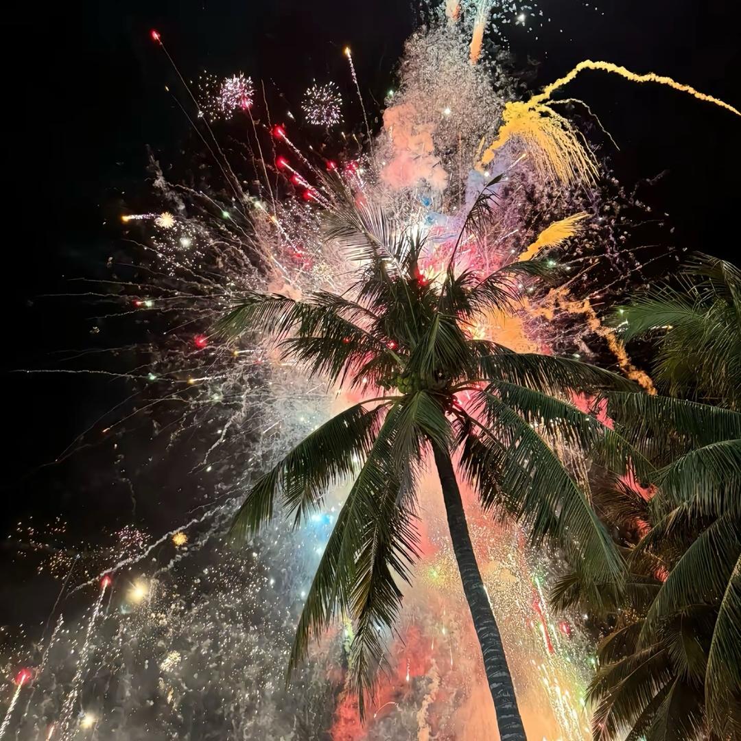 有理想