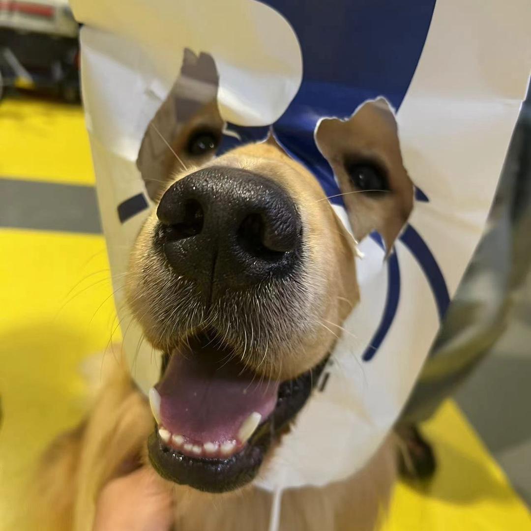 旺仔爸爸-知识小分享