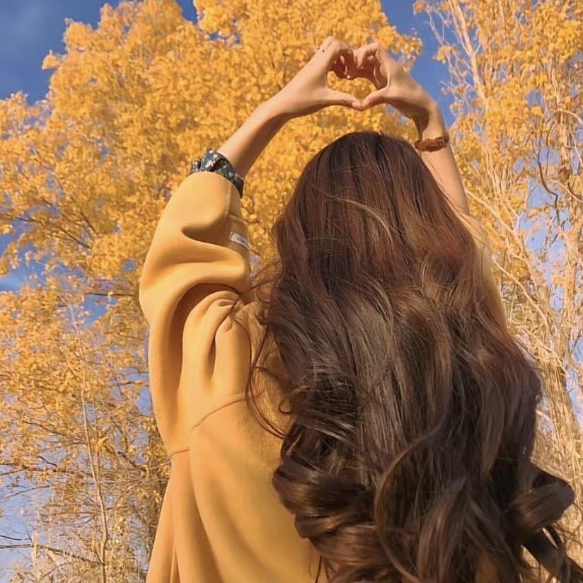 减肥总反谭💕