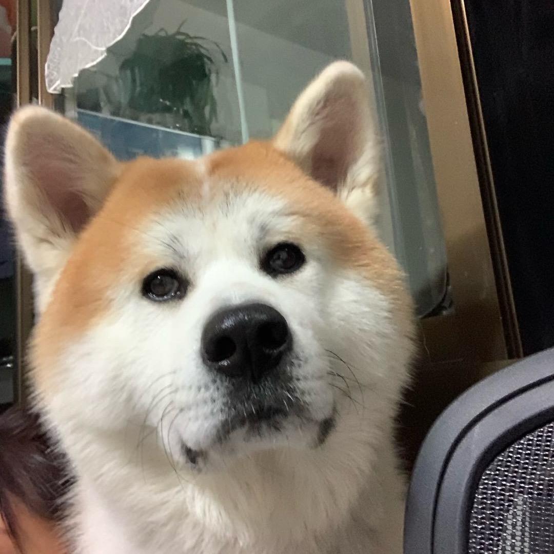 WYB⁴²³