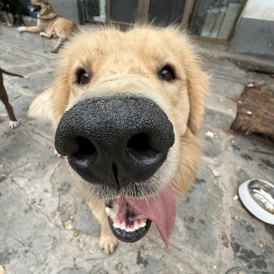 想睡觉