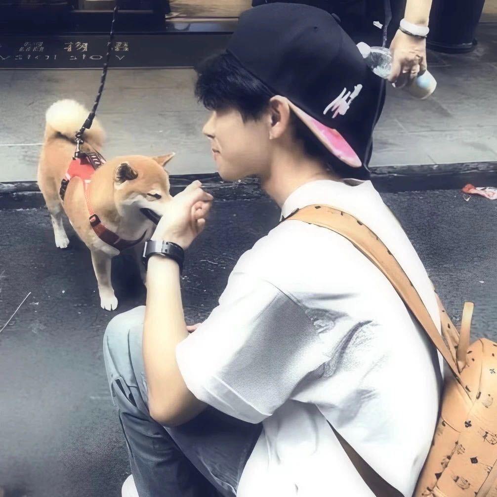睡着了也困