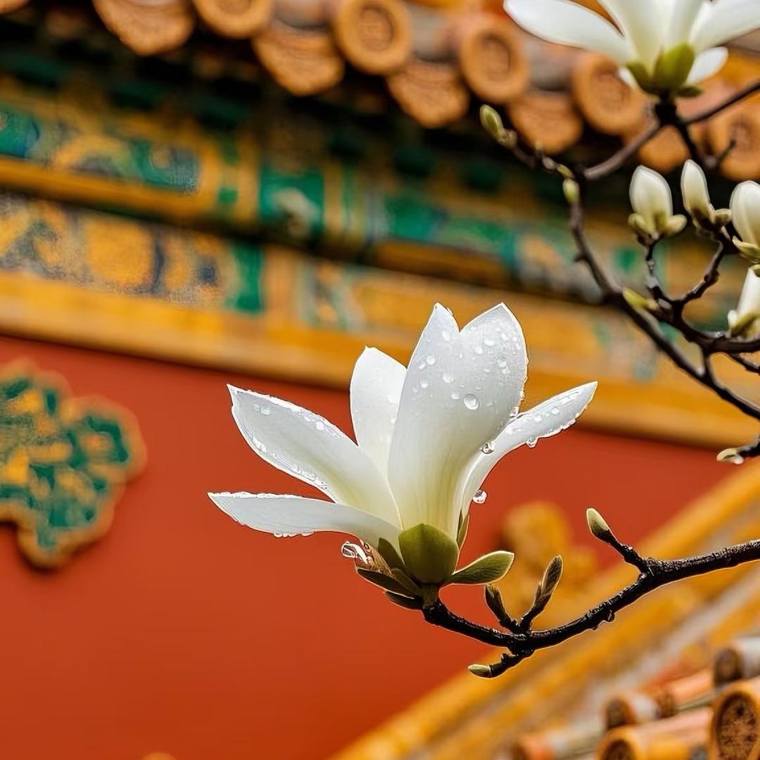 北京旅游大明白