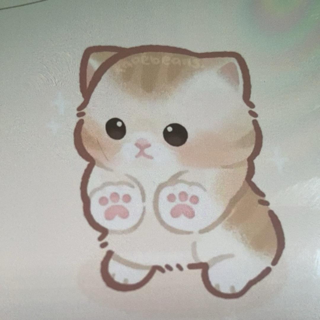 梁梁了