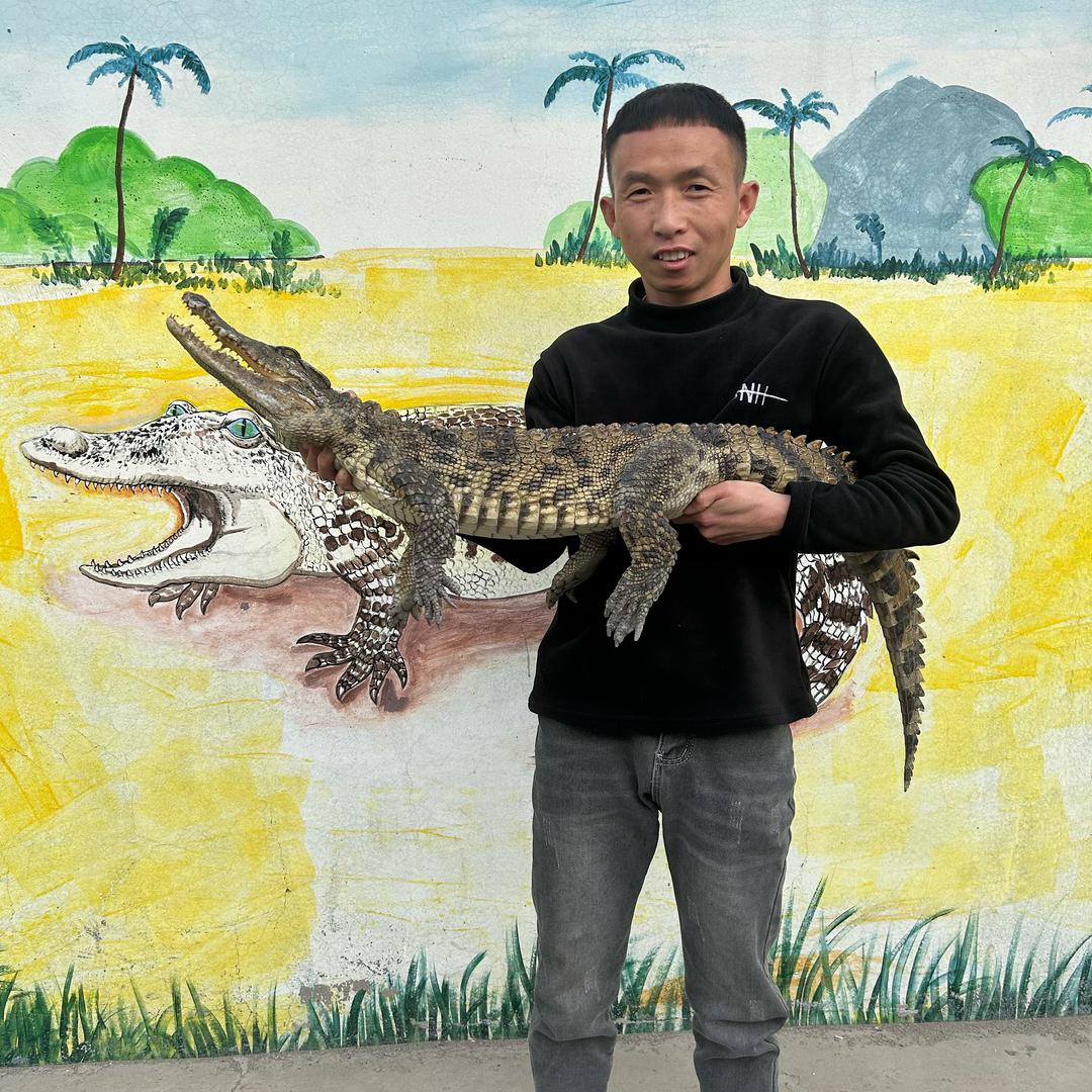 鳄鱼潭🐊小赢哥