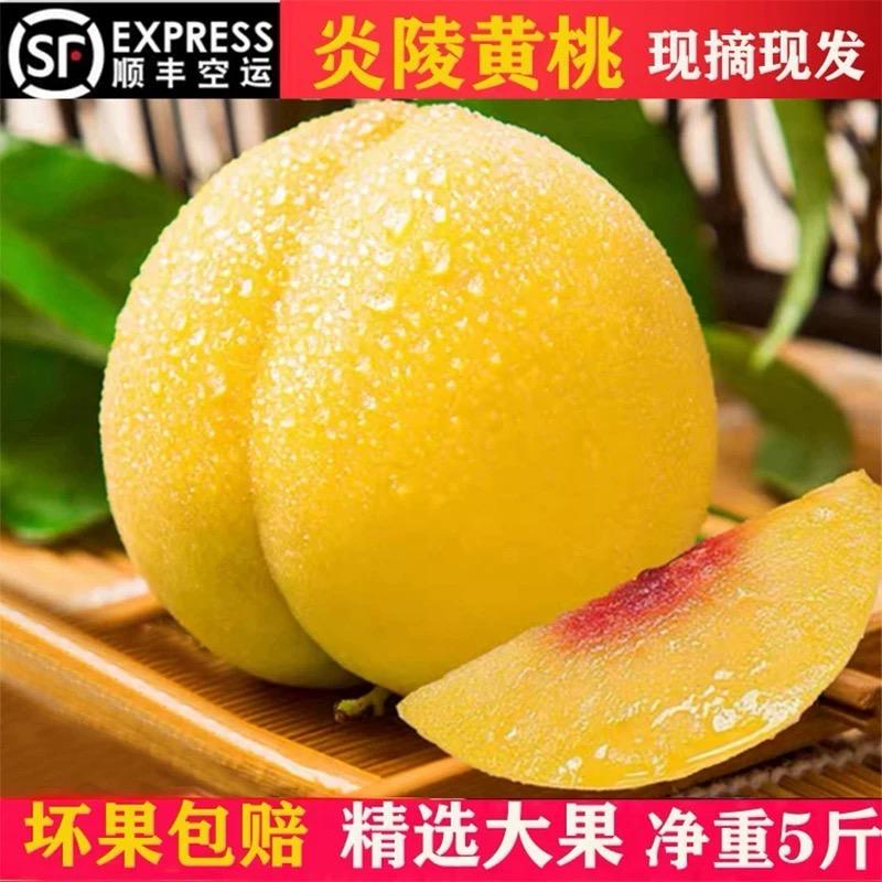 炎陵黄桃