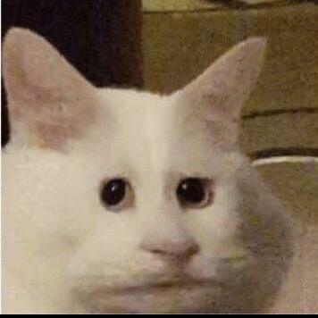 肥肥狒狒