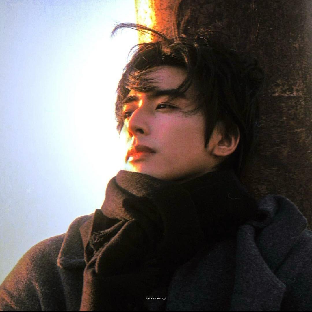 太阳花（沉淀中毕业见）