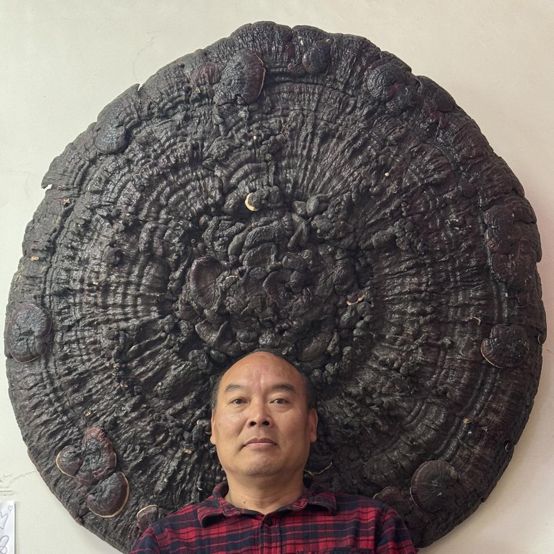 妙太春老黑膏
