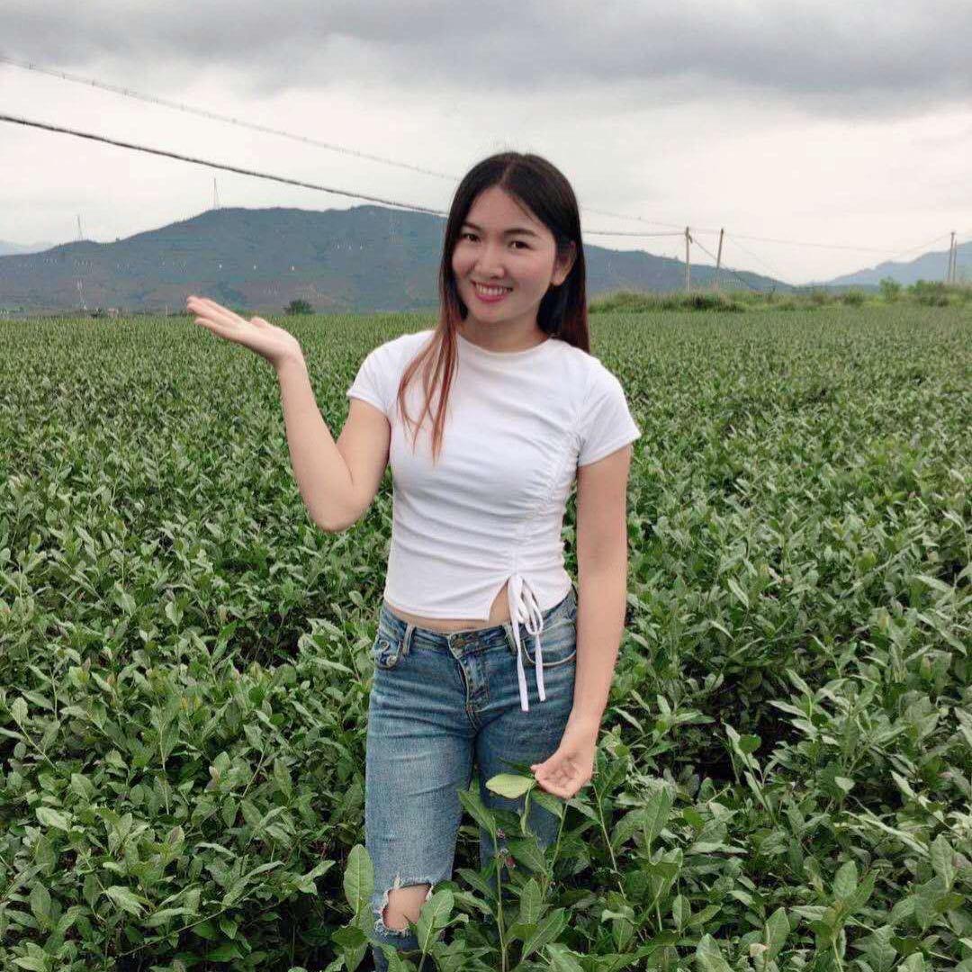 茶叶之乡燕子