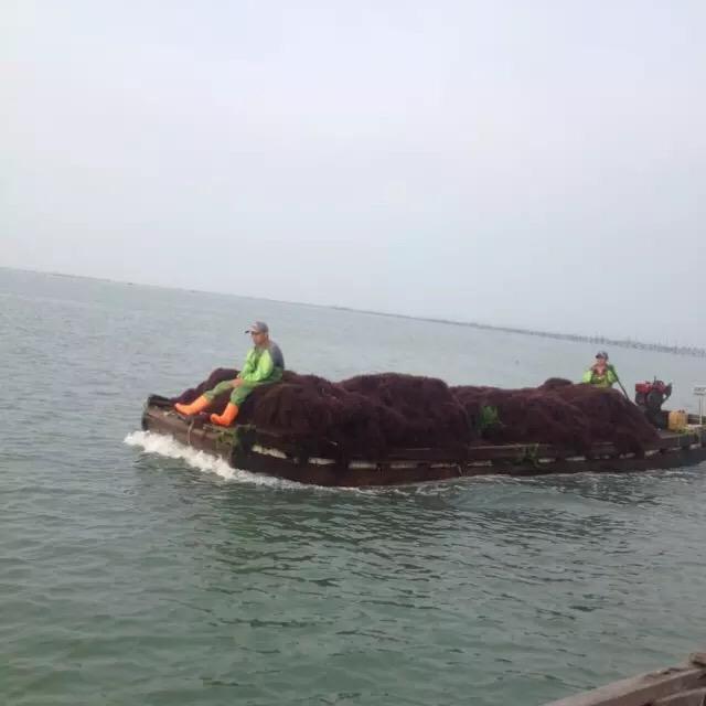 退一步海阔天空