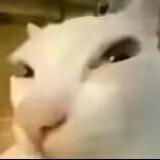 wryyyyyy