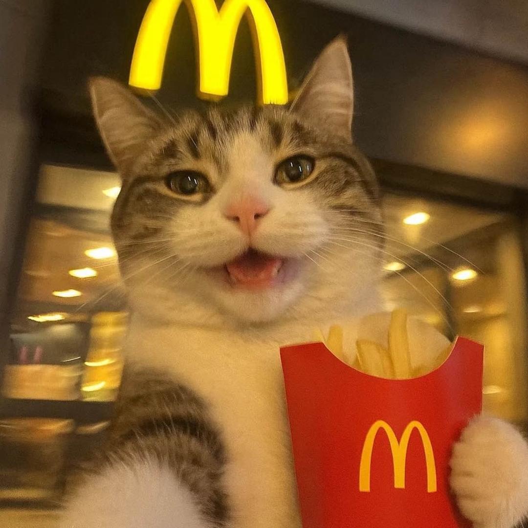 来财财财的头像