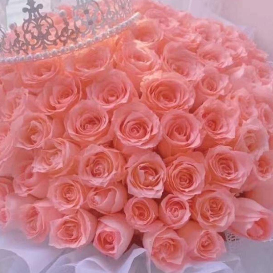 🌈浪漫樱花🌺