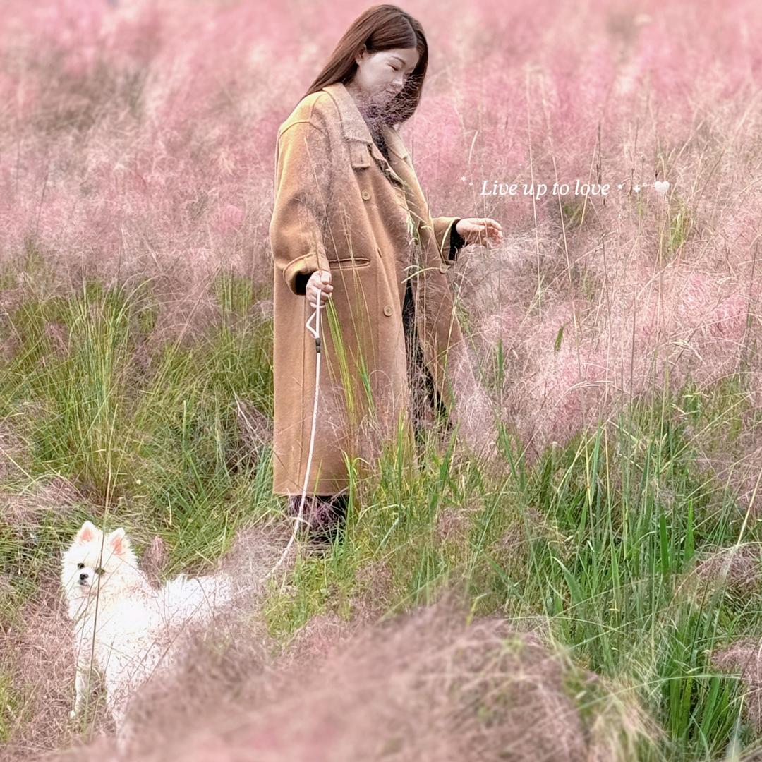 张大小姐🐰