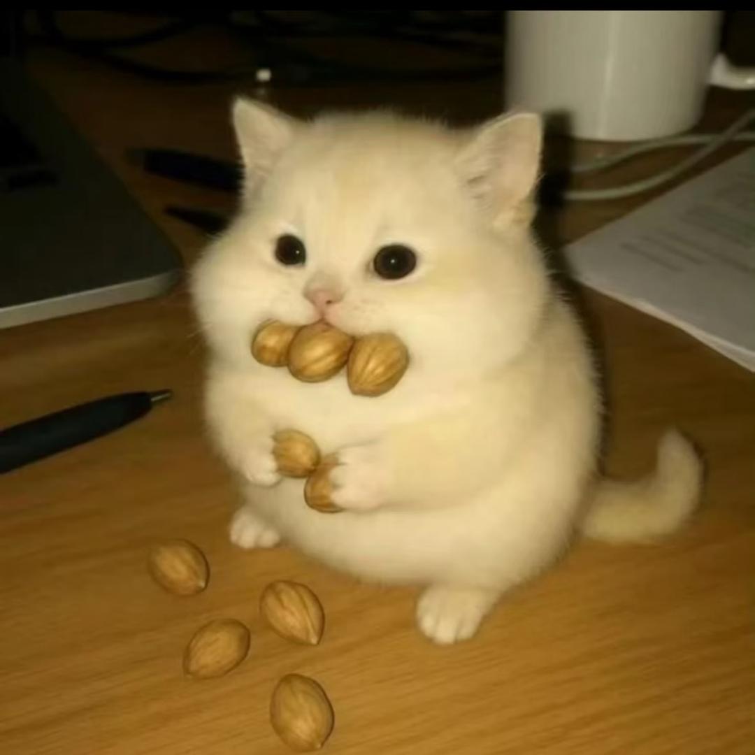 wu
