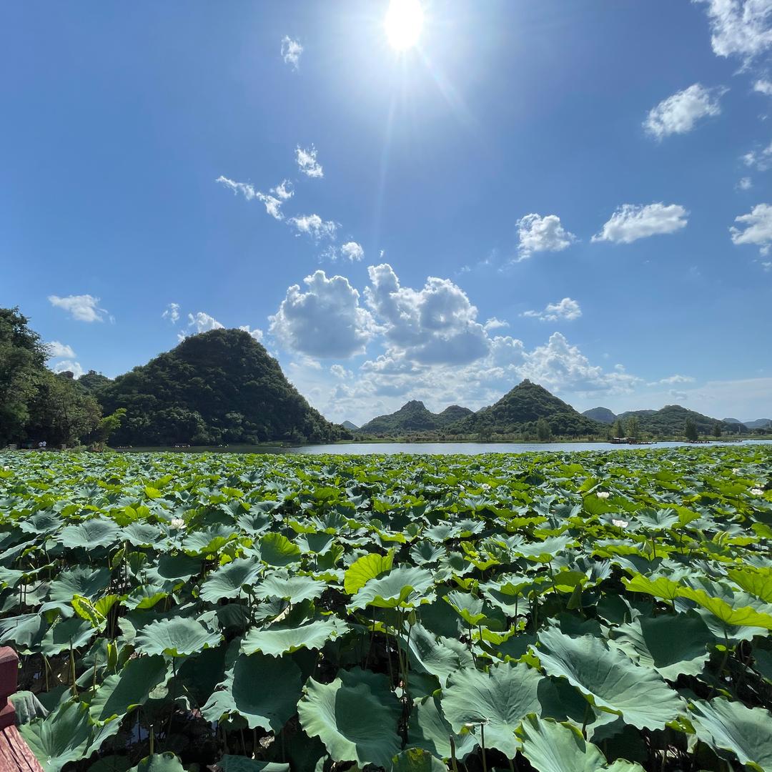 一抹暖阳🥕