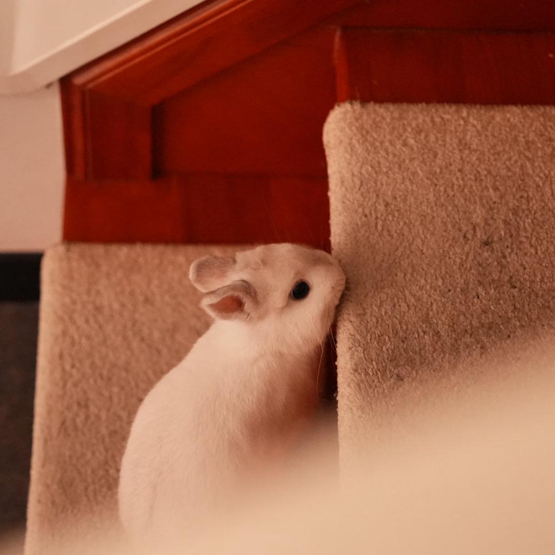 爱生活的阿杰呀