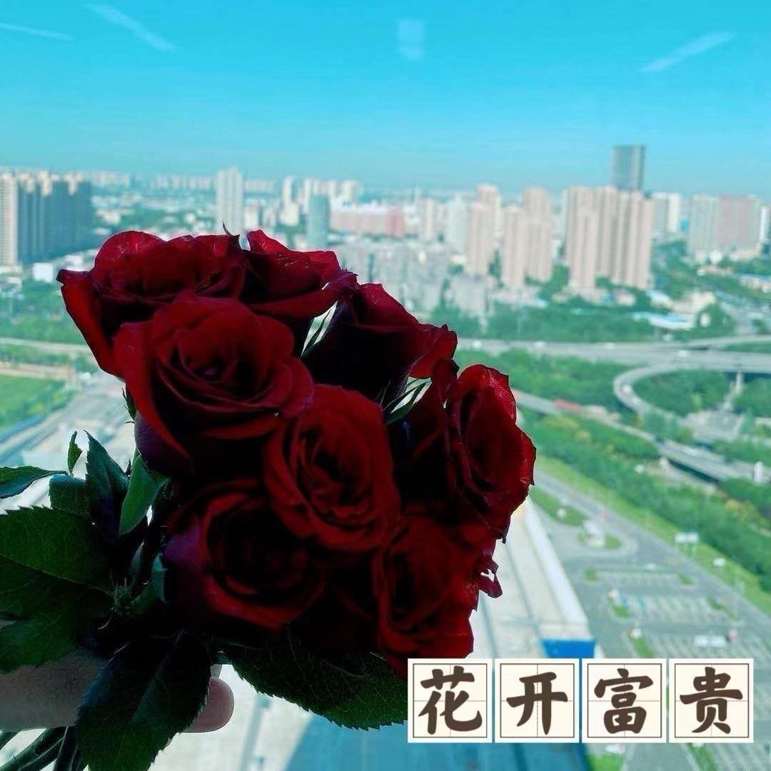 那家鲜花批发3️⃣