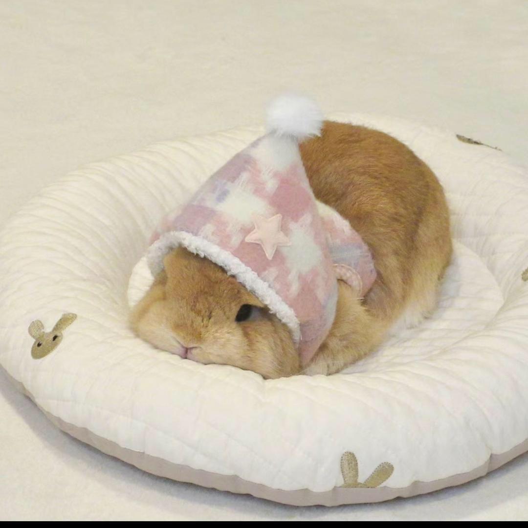 🦘