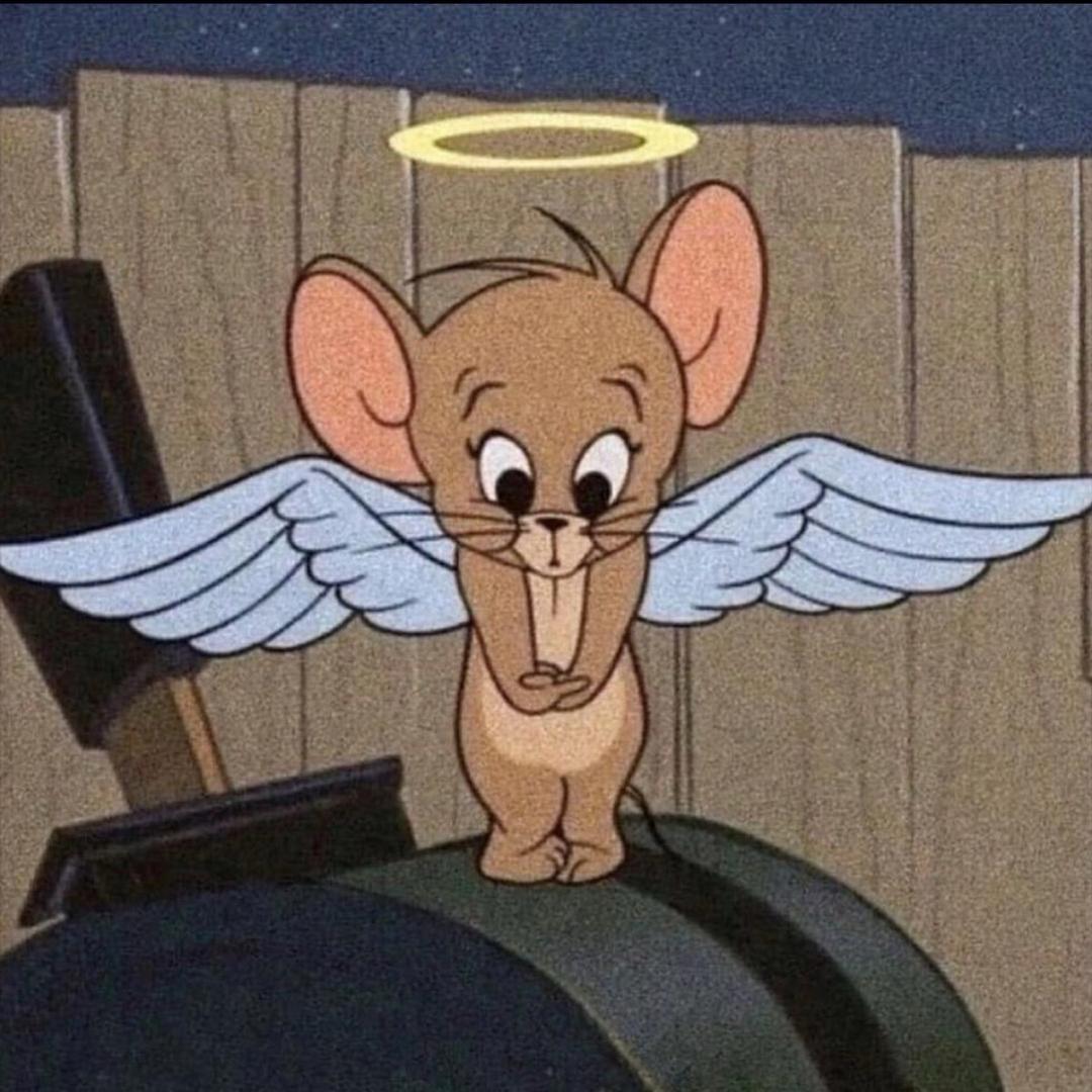 我烤烤你