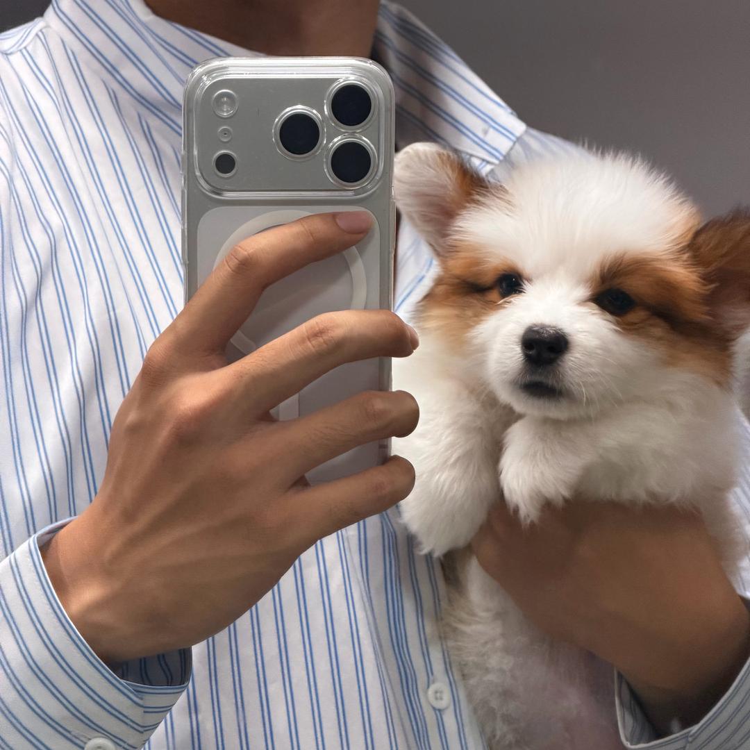 半个梁朝伟W