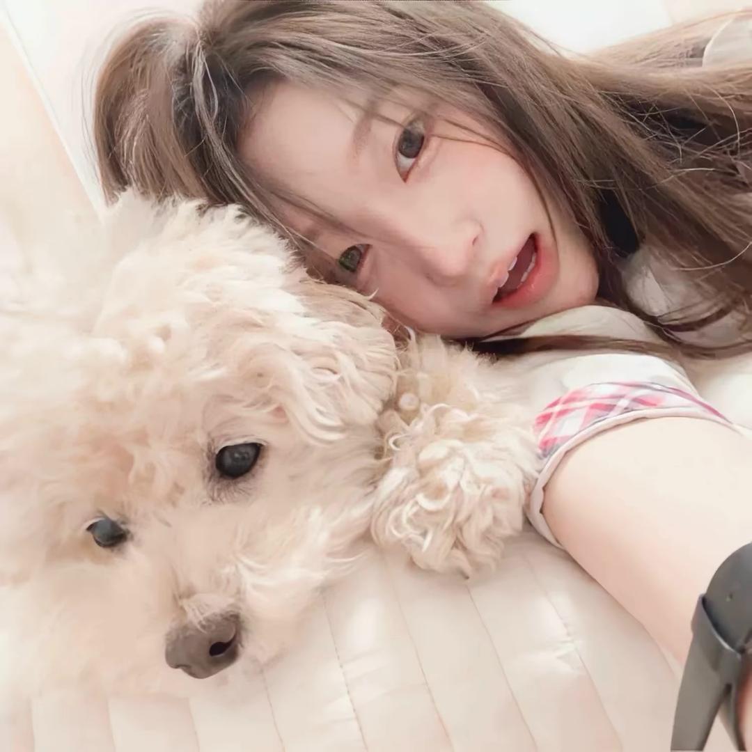 ㅤㅤ   ㅤㅤ