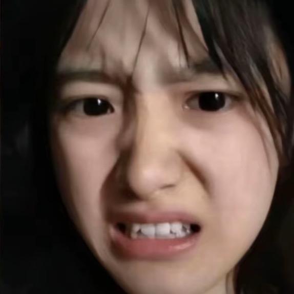 波斯猫