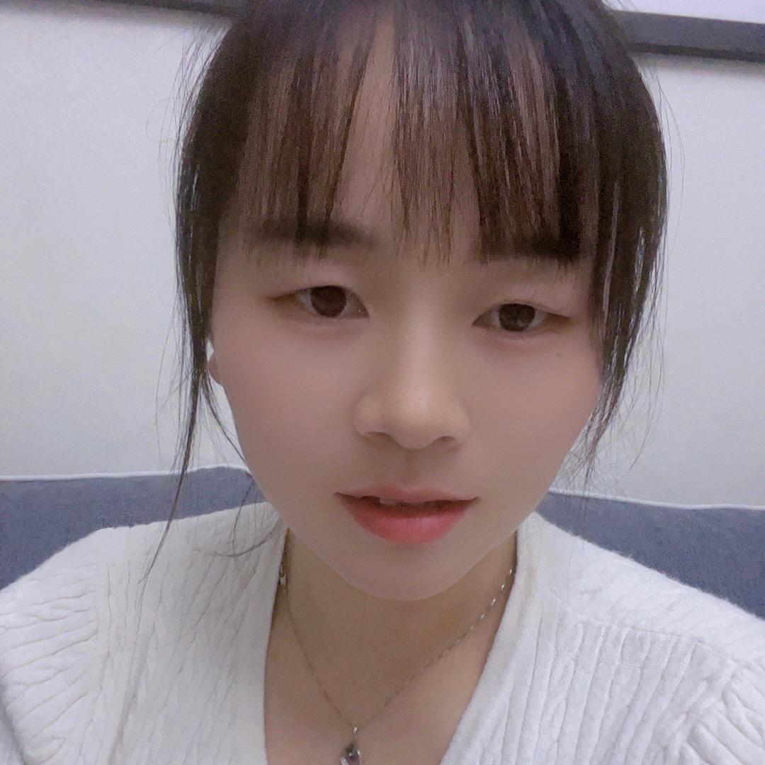 不会飞的燕子