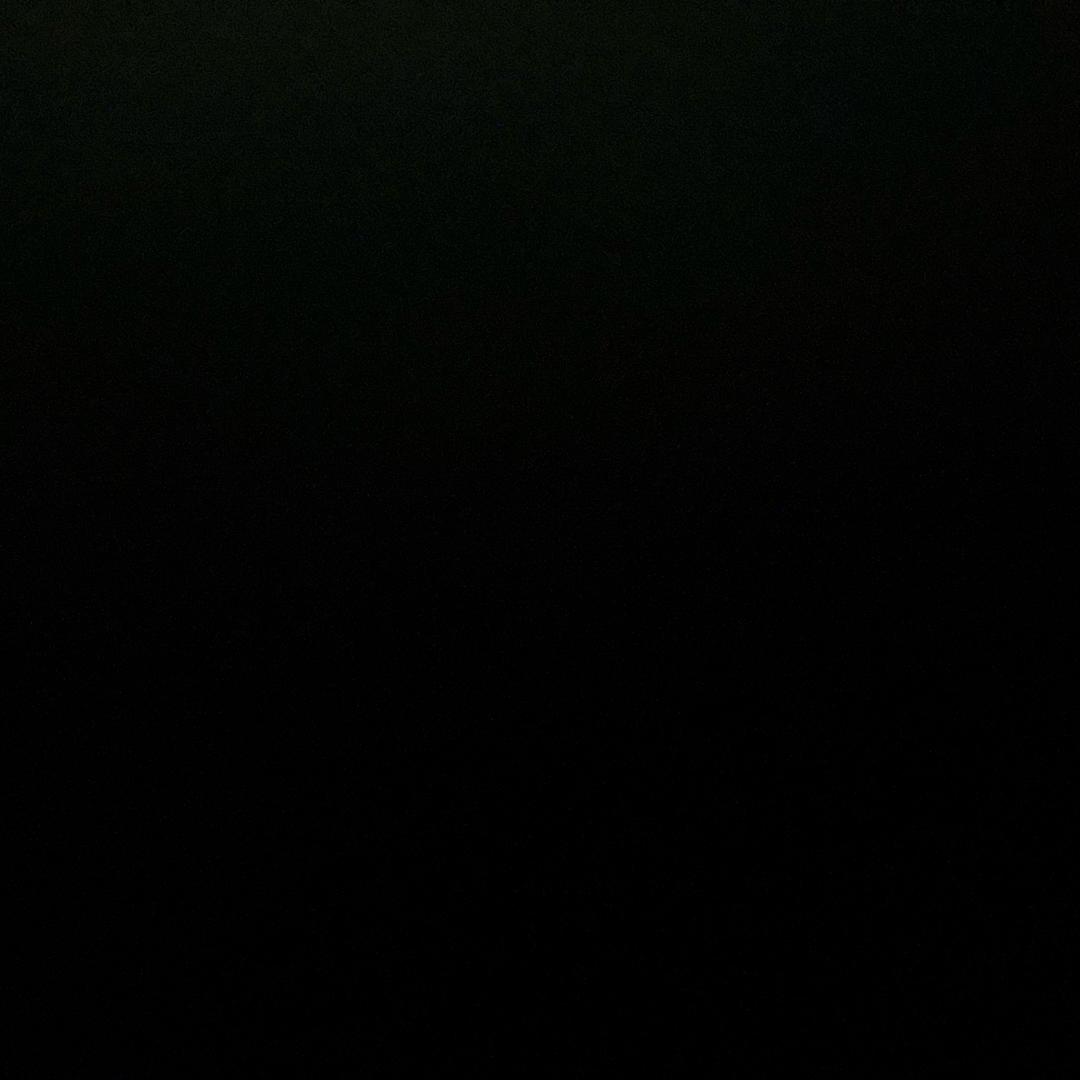 恋爱脑.