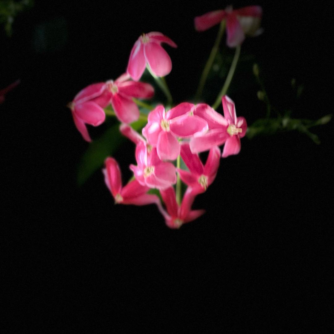 好聚时光