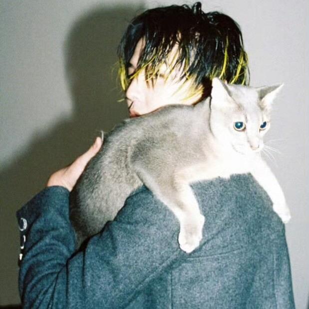 男朋友…