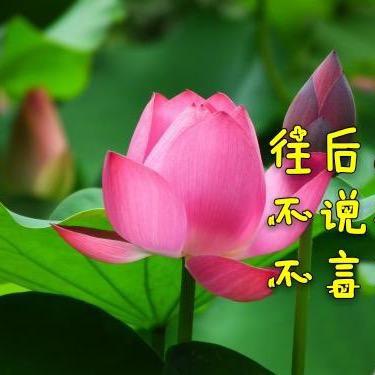 小妮～子