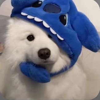 𝓙𝓘𝓝 𝓧 𝓦𝓩 🎧