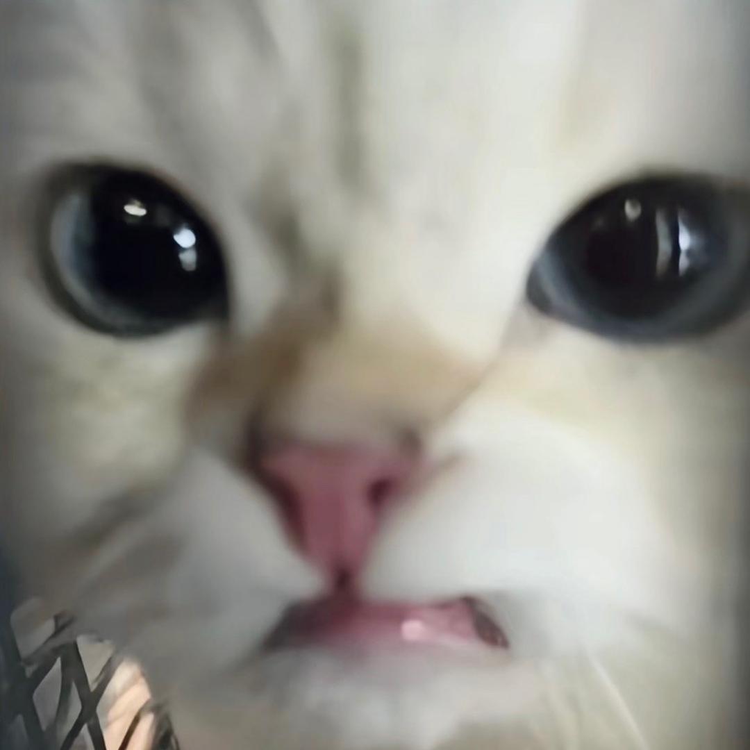 啵啵hao