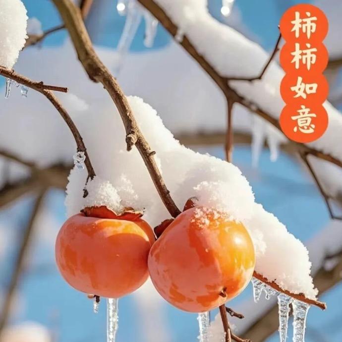 洛阳尚尚