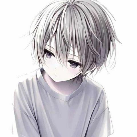 小泉ovo
