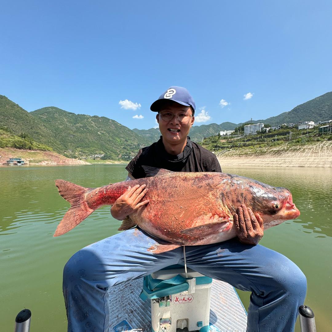 陈鲢长（众城刚粉战队）