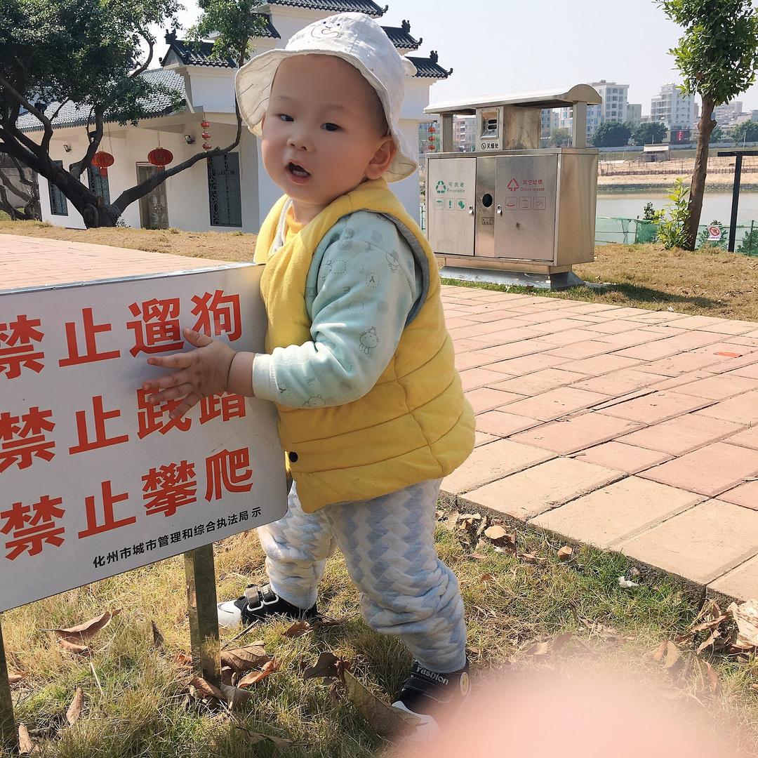 紫菜