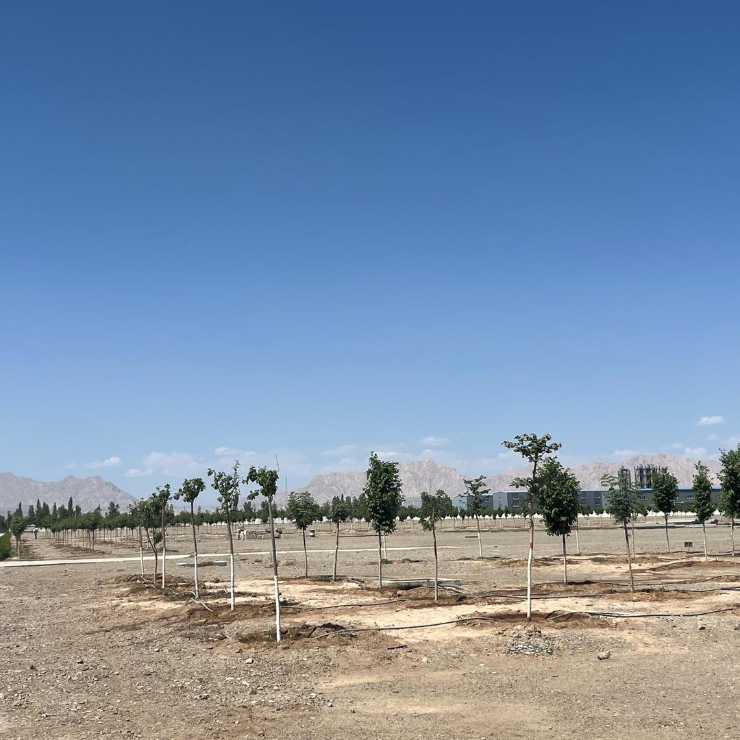 疲惫的星期五。