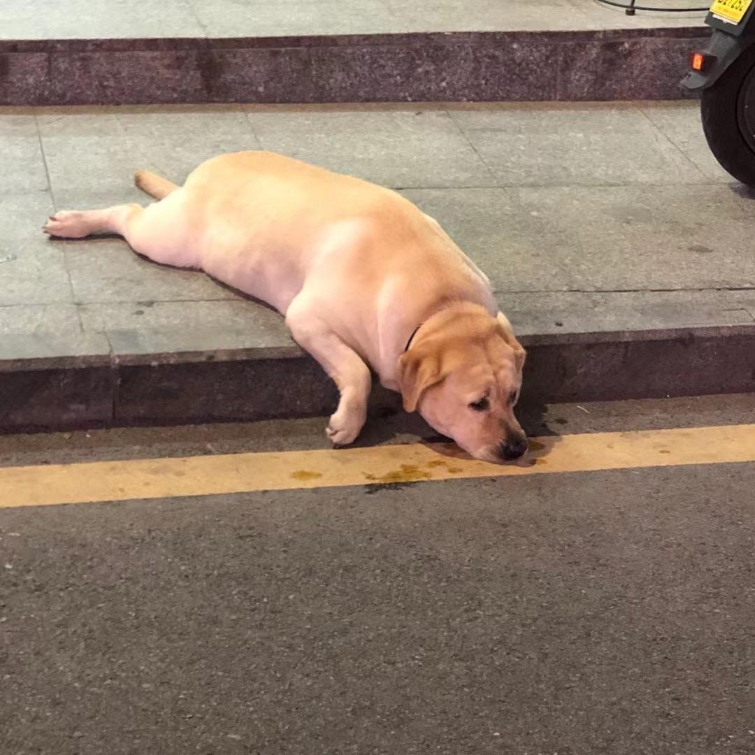 你准备寿司吧