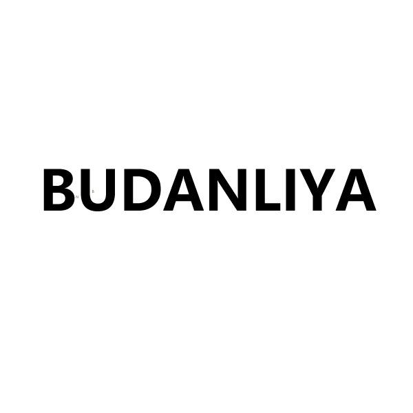BUDANLIYA-高定轻奢女裤