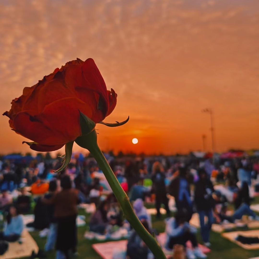 梦为努力浇了水